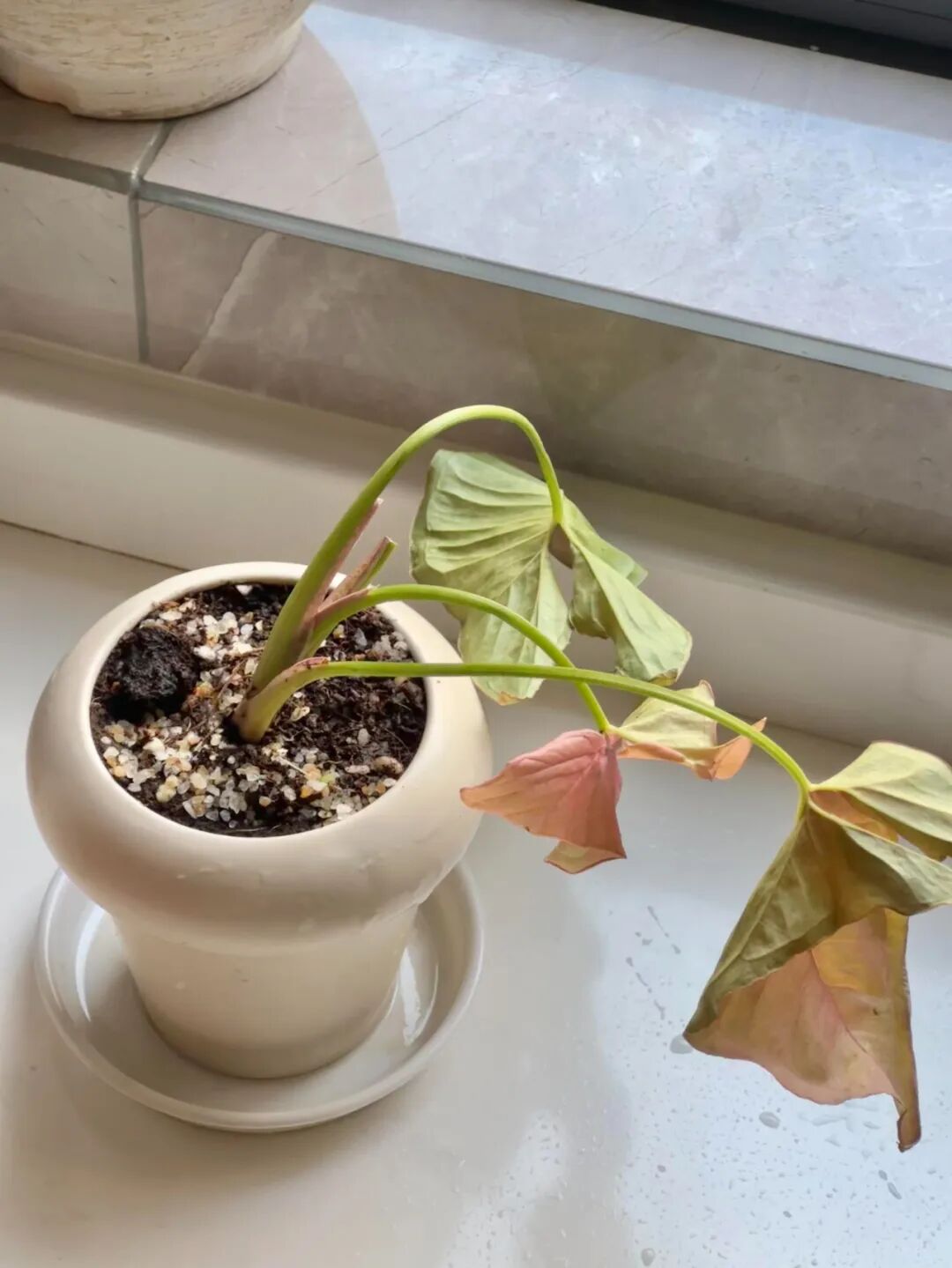 Chuyển về nh&agrave; mới 2 th&aacute;ng, t&ocirc;i mới hiểu: C&oacute; một kiểu mệt mỏi gọi l&agrave; &ldquo;nấu ăn t&ugrave;y tiện trong bếp&rdquo; v&agrave; 6 thiết kế đẹp nhưng bất tiện n&agrave;y l&agrave; nguy&ecirc;n nh&acirc;n- Ảnh 9.