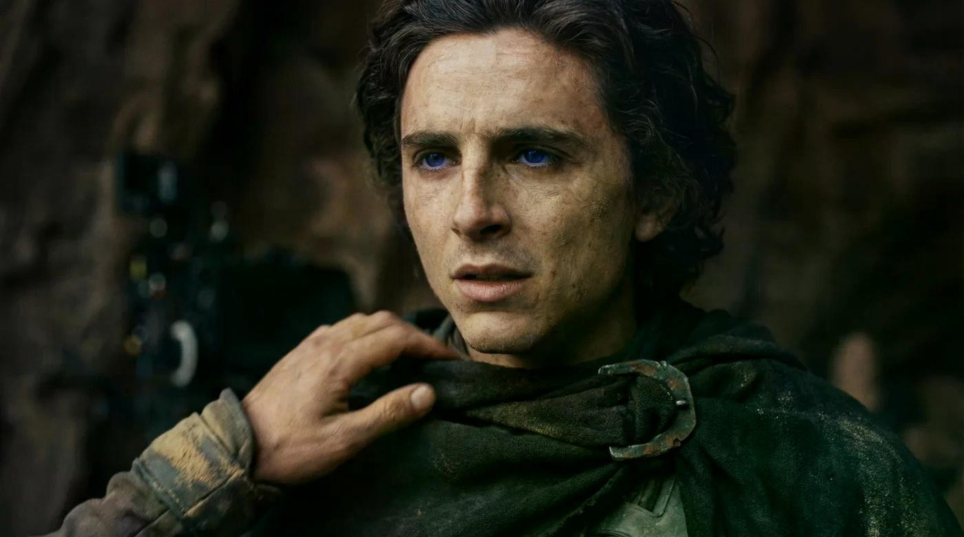 Ai cứu được Timoth&eacute;e Chalamet- Ảnh 5.