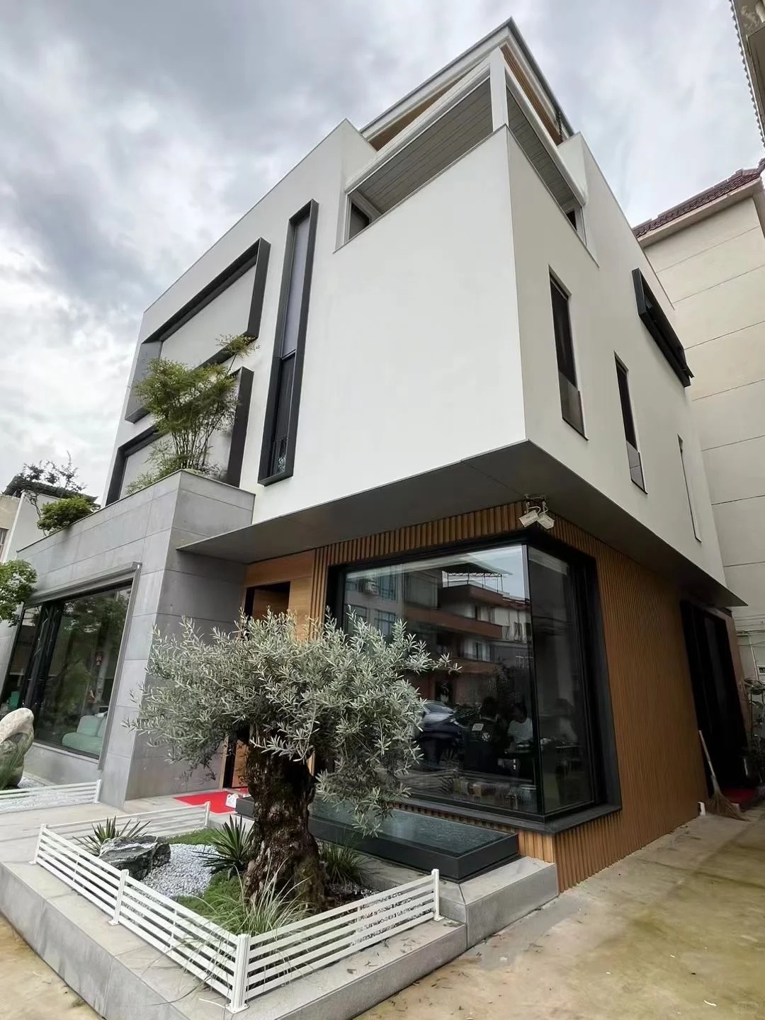 Giới nh&agrave; gi&agrave;u đang m&ecirc; mệt loại c&acirc;y n&agrave;y: Kh&ocirc;ng chỉ đẹp m&agrave; c&ograve;n h&uacute;t lộc, gi&aacute; nhỉnh... sương sương v&agrave;i tỷ đồng!- Ảnh 18.