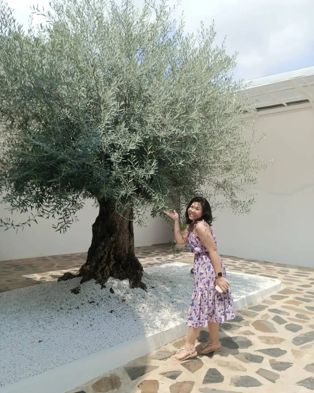 Giới nh&agrave; gi&agrave;u đang m&ecirc; mệt loại c&acirc;y n&agrave;y: Kh&ocirc;ng chỉ đẹp m&agrave; c&ograve;n h&uacute;t lộc, gi&aacute; nhỉnh... sương sương v&agrave;i tỷ đồng!- Ảnh 26.