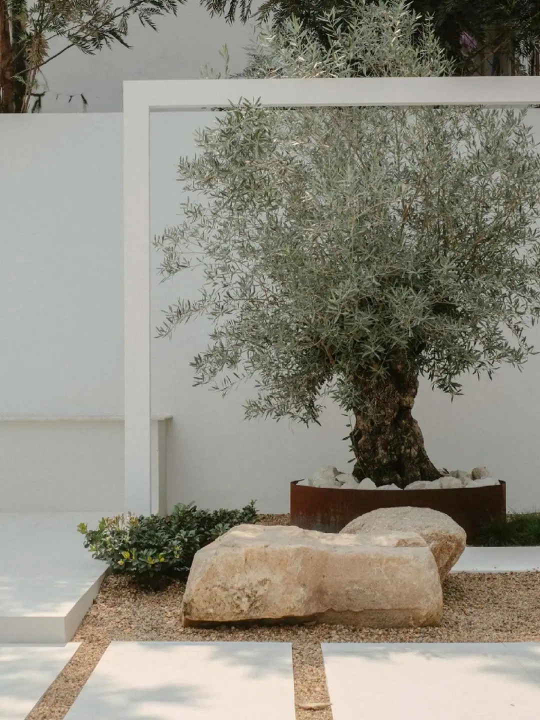 Giới nh&agrave; gi&agrave;u đang m&ecirc; mệt loại c&acirc;y n&agrave;y: Kh&ocirc;ng chỉ đẹp m&agrave; c&ograve;n h&uacute;t lộc, gi&aacute; nhỉnh... sương sương v&agrave;i tỷ đồng!- Ảnh 27.