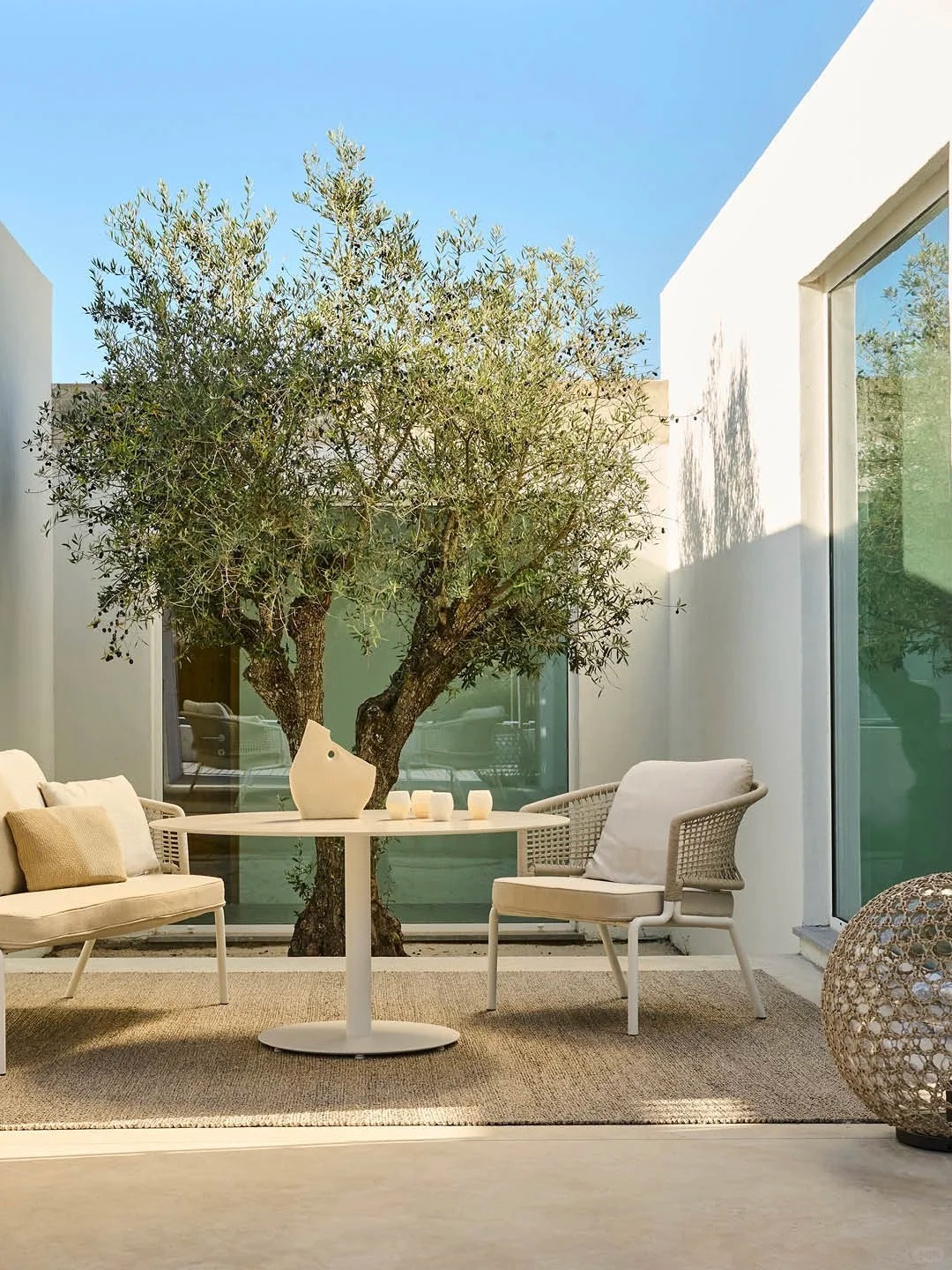 Giới nh&agrave; gi&agrave;u đang m&ecirc; mệt loại c&acirc;y n&agrave;y: Kh&ocirc;ng chỉ đẹp m&agrave; c&ograve;n h&uacute;t lộc, gi&aacute; nhỉnh... sương sương v&agrave;i tỷ đồng!- Ảnh 24.