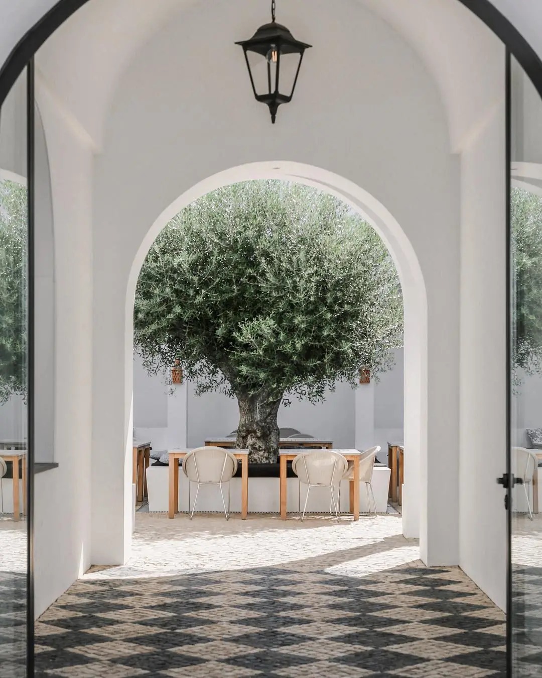 Giới nh&agrave; gi&agrave;u đang m&ecirc; mệt loại c&acirc;y n&agrave;y: Kh&ocirc;ng chỉ đẹp m&agrave; c&ograve;n h&uacute;t lộc, gi&aacute; nhỉnh... sương sương v&agrave;i tỷ đồng!- Ảnh 22.