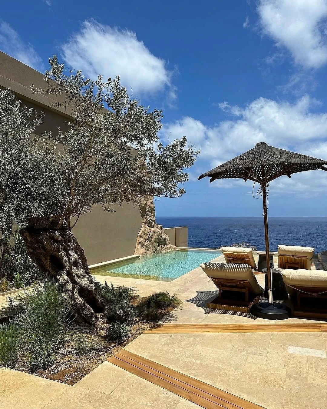 Giới nh&agrave; gi&agrave;u đang m&ecirc; mệt loại c&acirc;y n&agrave;y: Kh&ocirc;ng chỉ đẹp m&agrave; c&ograve;n h&uacute;t lộc, gi&aacute; nhỉnh... sương sương v&agrave;i tỷ đồng!- Ảnh 21.