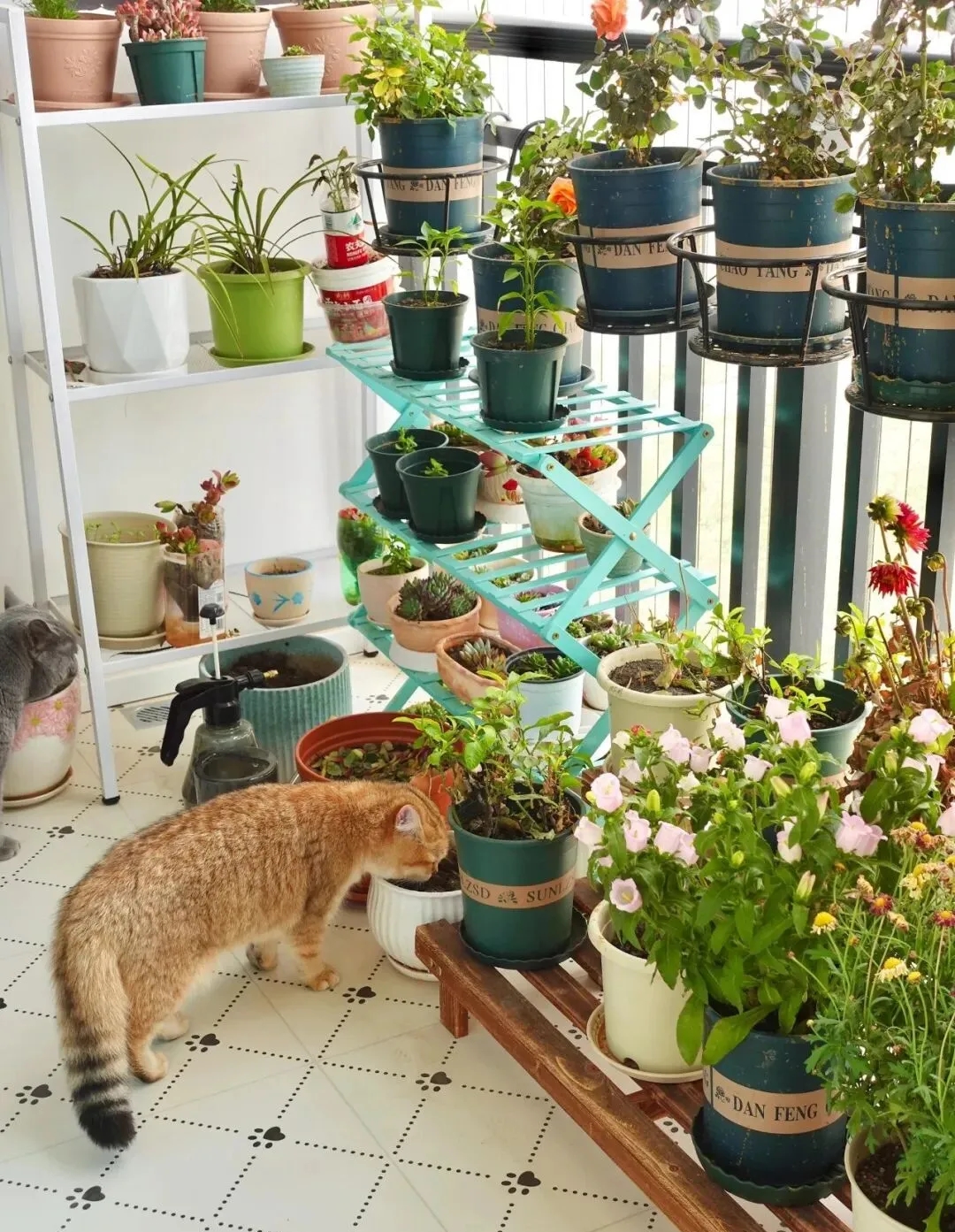 Cải tạo ban c&ocirc;ng 8m2 qu&aacute; vi diệu, c&aacute;i kết khiến h&agrave;ng x&oacute;m cũng muốn "bắt chước"- Ảnh 6.