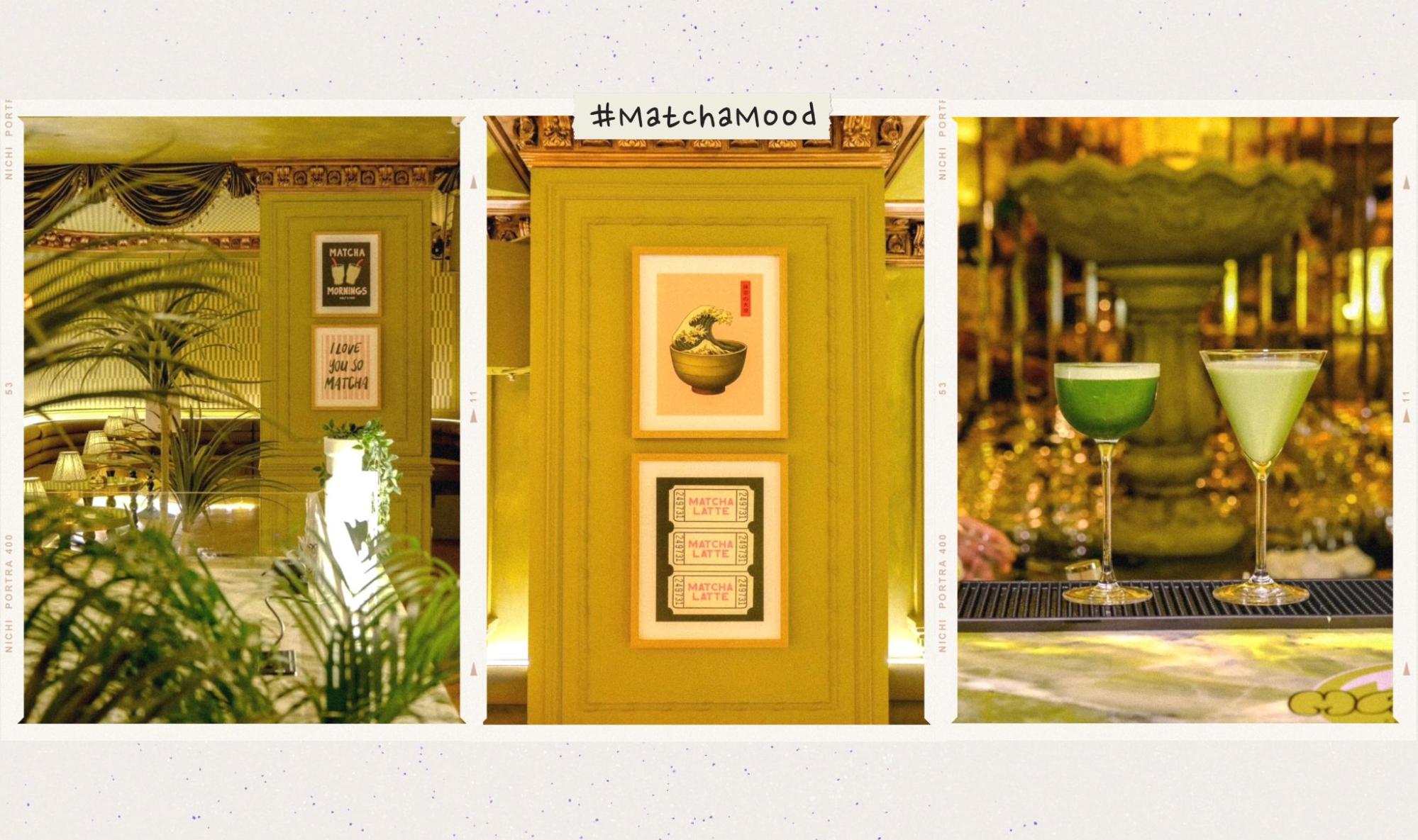 Matcha kh&ocirc;ng chỉ để uống: Đ&acirc;y l&agrave; c&aacute;ch một th&uacute; chơi đang trở th&agrave;nh cơ hội l&agrave;m gi&agrave;u- Ảnh 4.