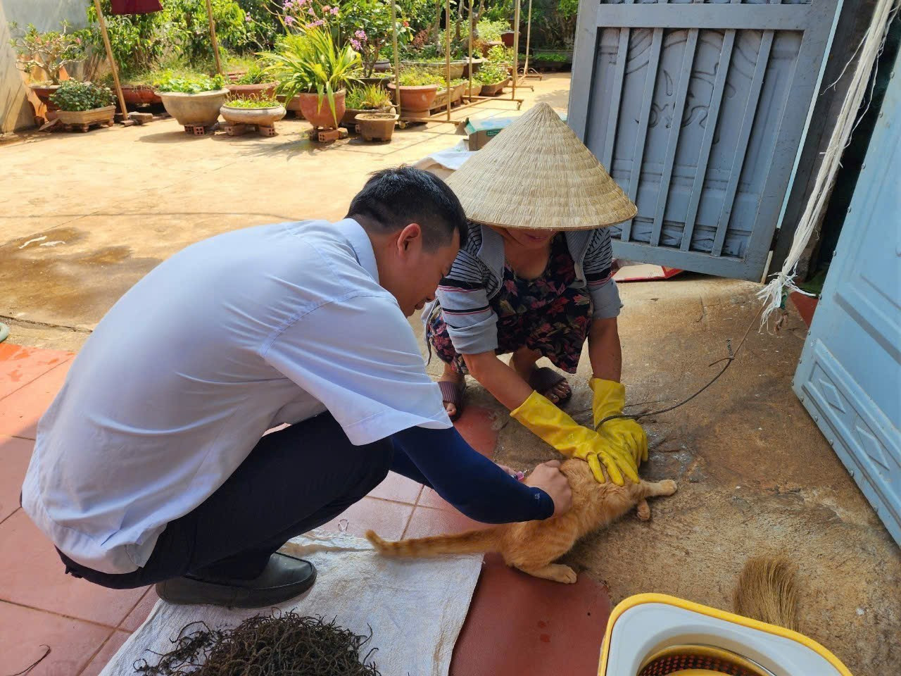 6 người trong c&ugrave;ng khu d&acirc;n cư ở Đắk Lắk bị ch&oacute; nghi dại cắn- Ảnh 1.