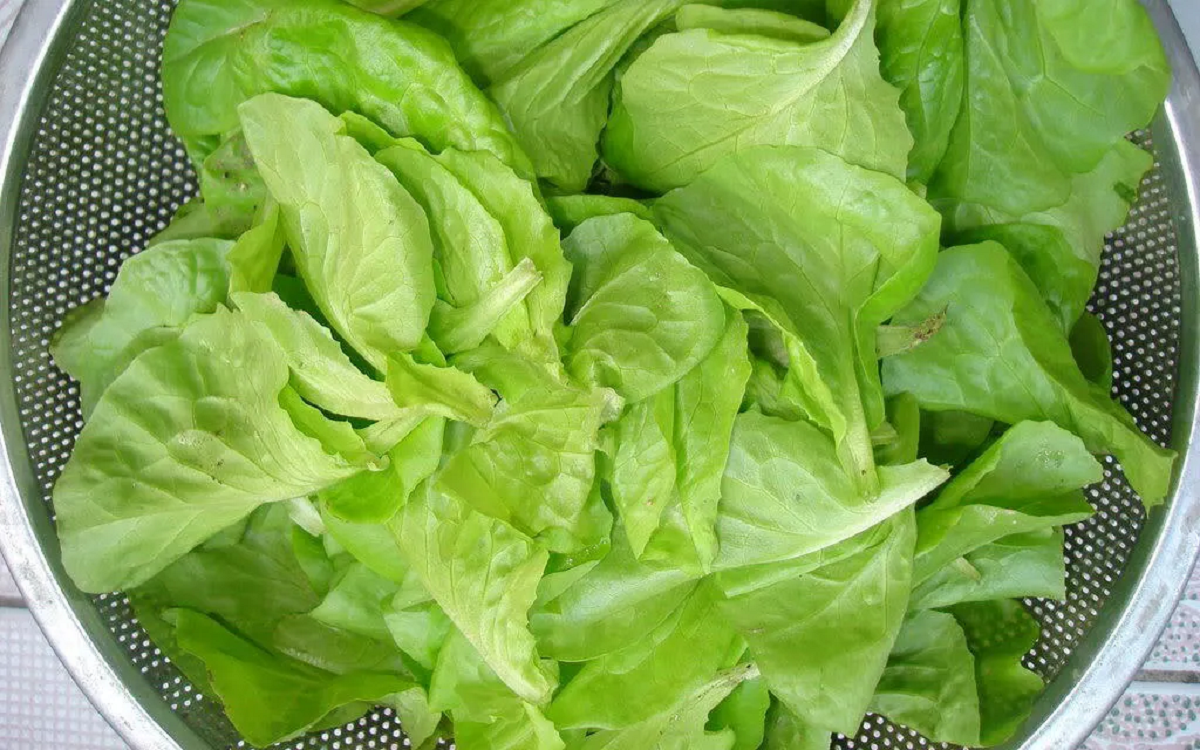 Việt Nam c&oacute; loại rau được ca ngợi "tốt bậc nhất thế giới", cứ ra chợ l&agrave; thấy- Ảnh 4.