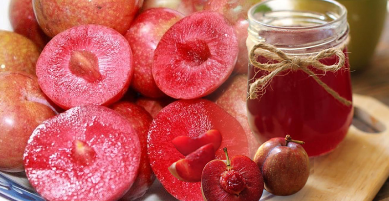 Những loại tr&aacute;i c&acirc;y c&oacute; hạt chứa độc tố, cẩn thận kẻo "&ocirc;m bệnh" v&agrave;o th&acirc;n- Ảnh 3.