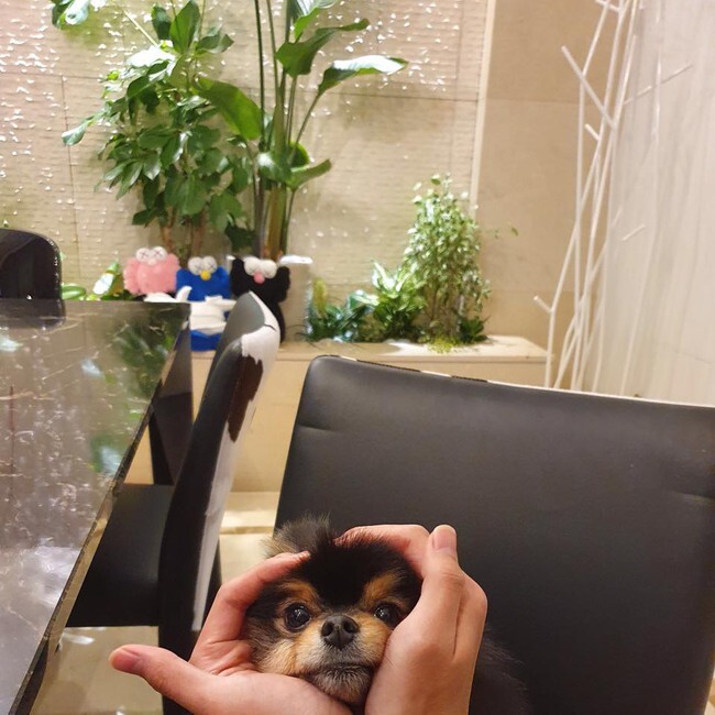 BĐS của 7 "đấng" BTS: Từ Seoul vươn d&agrave;i đến Mỹ, mỗi cơ ngơi đều l&agrave; 1 tuy&ecirc;n ng&ocirc;n đẳng cấp to&agrave;n cầu- Ảnh 8.