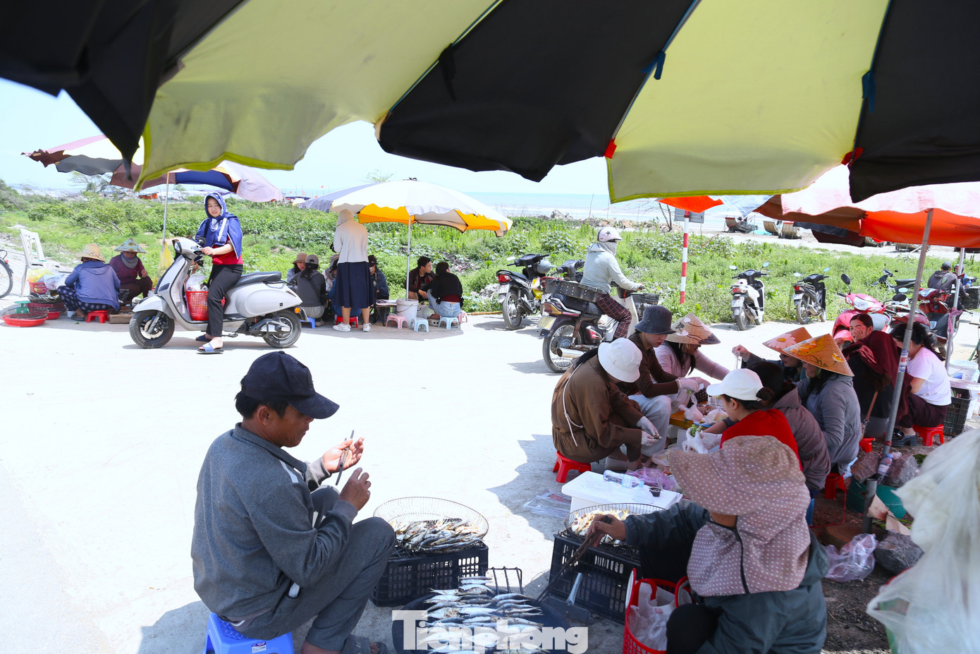 Du kh&aacute;ch 'ph&aacute;t sốt' với c&aacute; tr&iacute;ch nướng b&atilde;i biển- Ảnh 1.