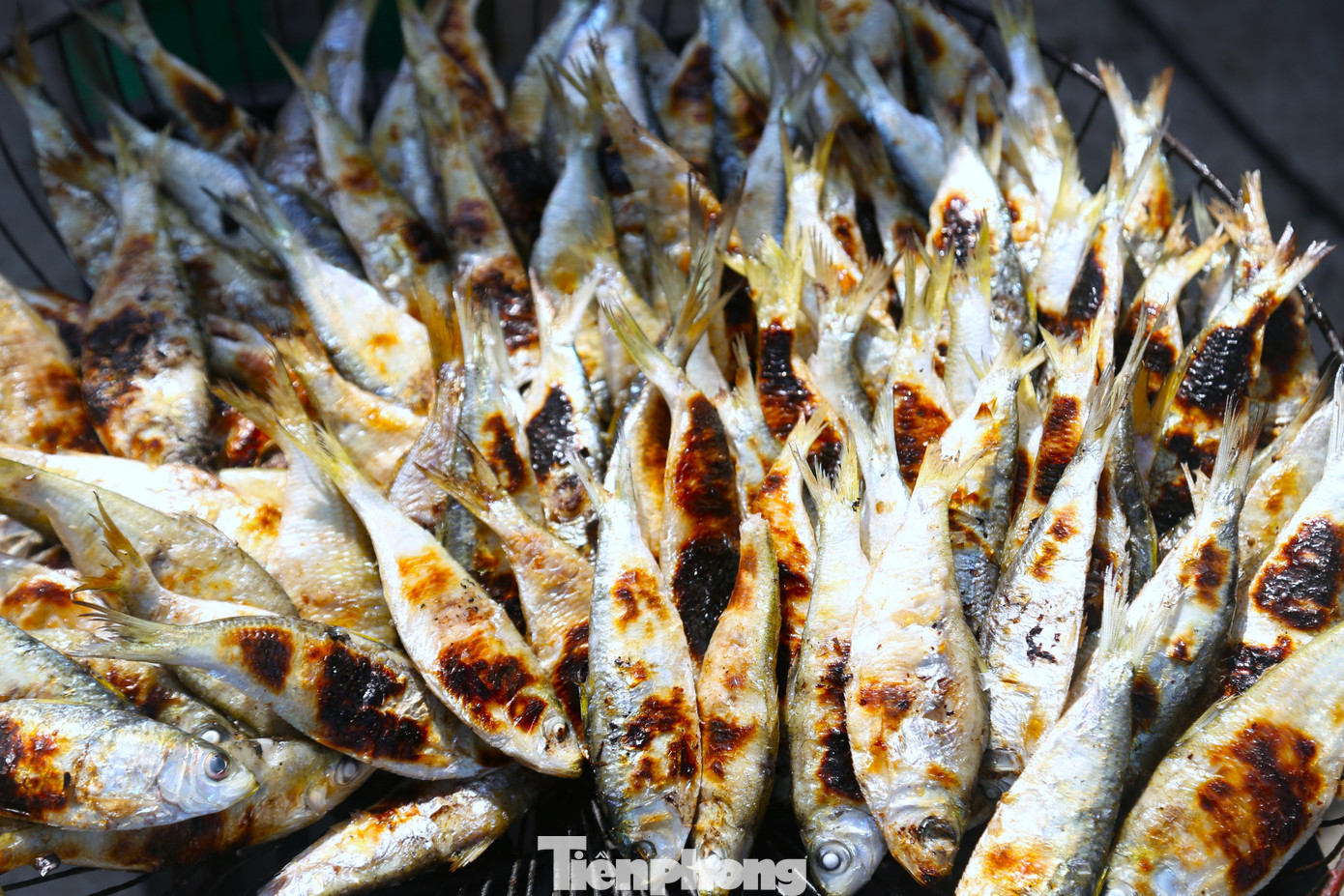 Du kh&aacute;ch 'ph&aacute;t sốt' với c&aacute; tr&iacute;ch nướng b&atilde;i biển- Ảnh 6.