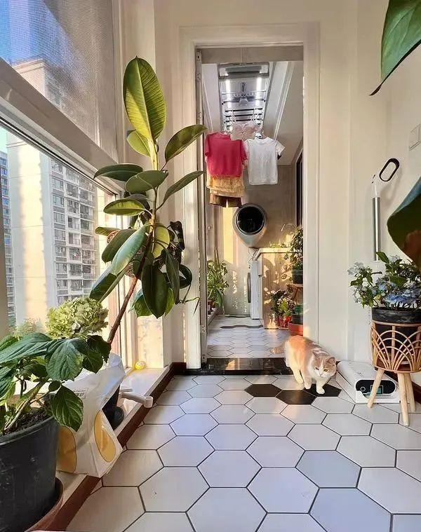 Cải tạo ban c&ocirc;ng 8m2 qu&aacute; vi diệu, c&aacute;i kết khiến h&agrave;ng x&oacute;m cũng muốn "bắt chước"- Ảnh 7.