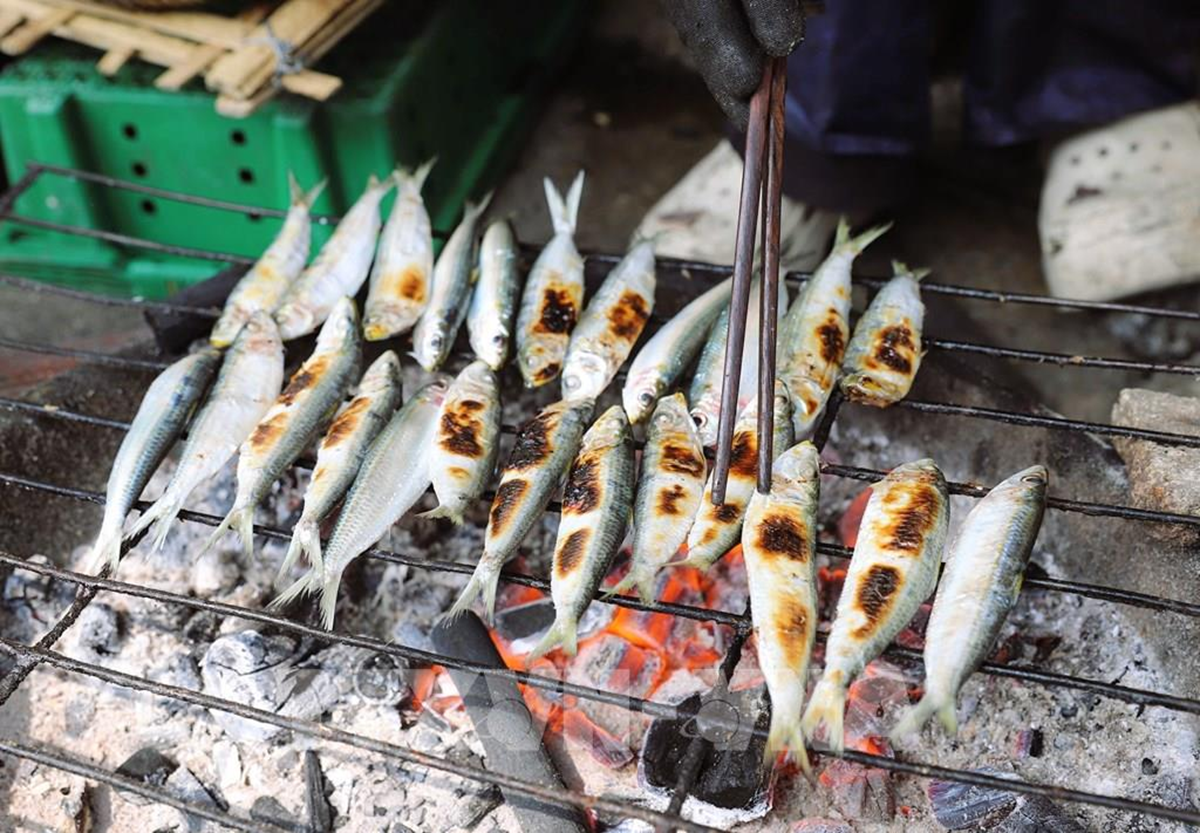 Việt Nam sở hữu loại c&aacute; "tốt nhất thế giới", gi&aacute; b&igrave;nh d&acirc;n, ngo&agrave;i chợ b&aacute;n đầy- Ảnh 2.