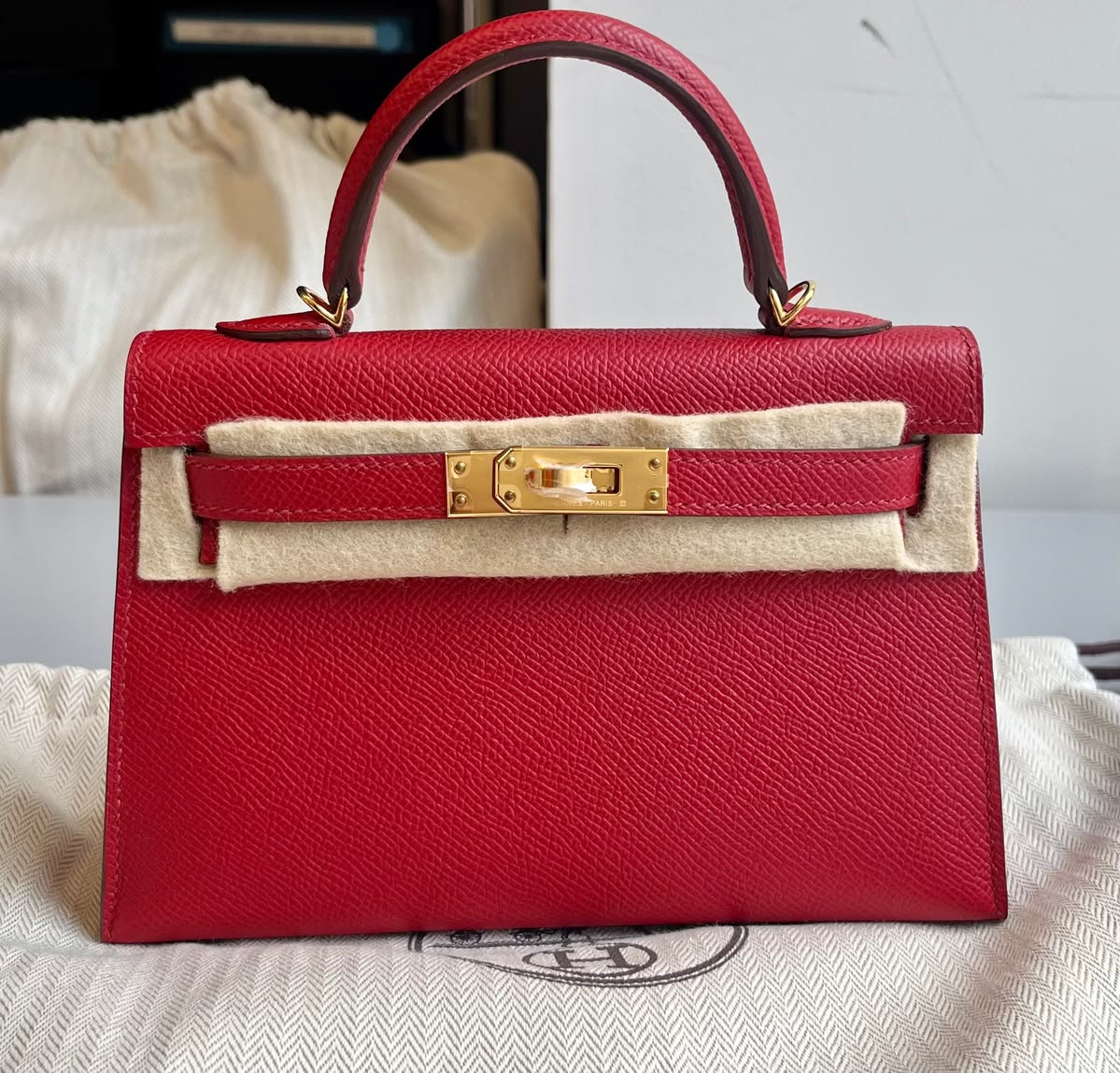 Người chơi Herm&egrave;s sốc v&igrave; sau m&ugrave;a nồm t&uacute;i m&eacute;o m&oacute; kh&ocirc;ng thể cứu, lỗi từ ch&iacute;nh c&aacute;ch bảo quản quen của nhiều người- Ảnh 4.