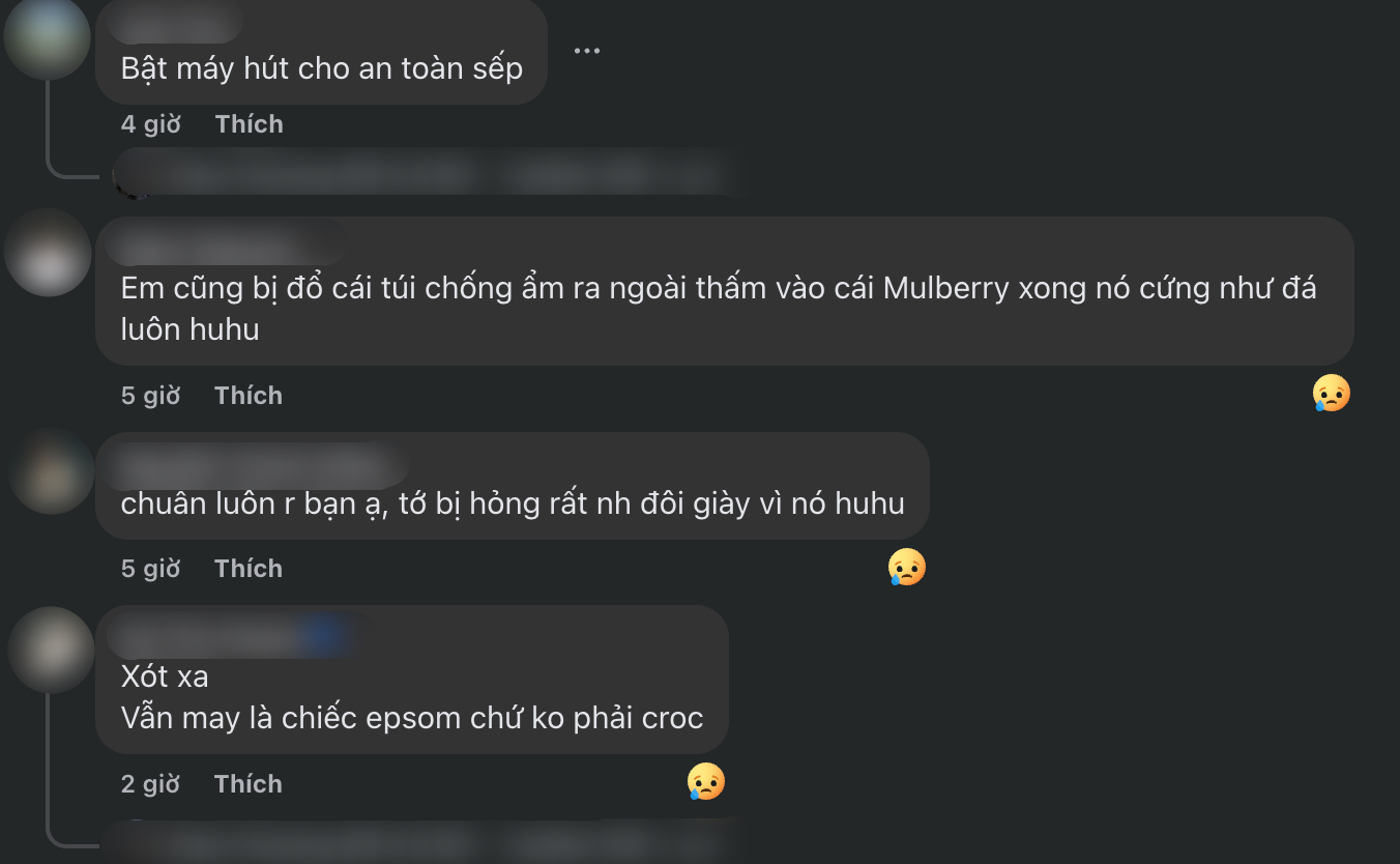 Người chơi Herm&egrave;s sốc v&igrave; sau m&ugrave;a nồm t&uacute;i m&eacute;o m&oacute; kh&ocirc;ng thể cứu, lỗi từ ch&iacute;nh c&aacute;ch bảo quản quen của nhiều người- Ảnh 5.