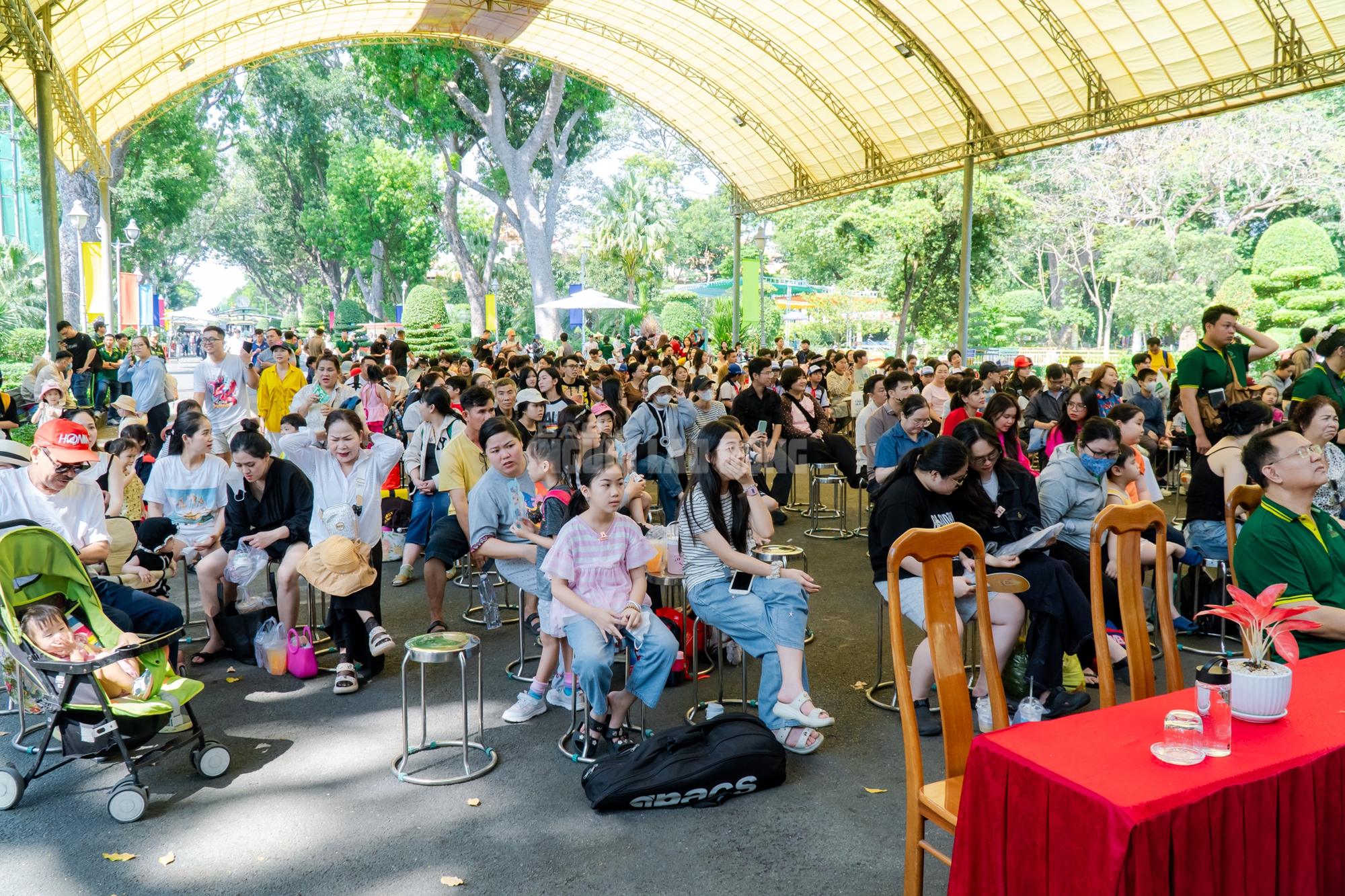 Lộ diện “bé ngựa lùn Cacao” ở Thảo Cẩm Viên Sài Gòn- Ảnh 14. Lộ diện “bé ngựa lùn Cacao” ở Thảo Cẩm Viên Sài Gòn- Ảnh 14.