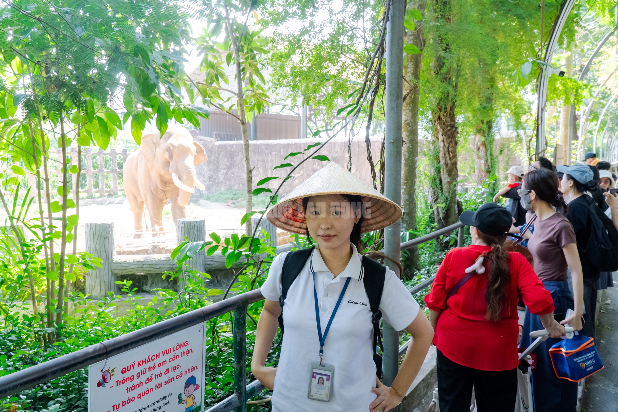 Lộ diện “bé ngựa lùn Cacao” ở Thảo Cẩm Viên Sài Gòn- Ảnh 15. Lộ diện “bé ngựa lùn Cacao” ở Thảo Cẩm Viên Sài Gòn- Ảnh 15.