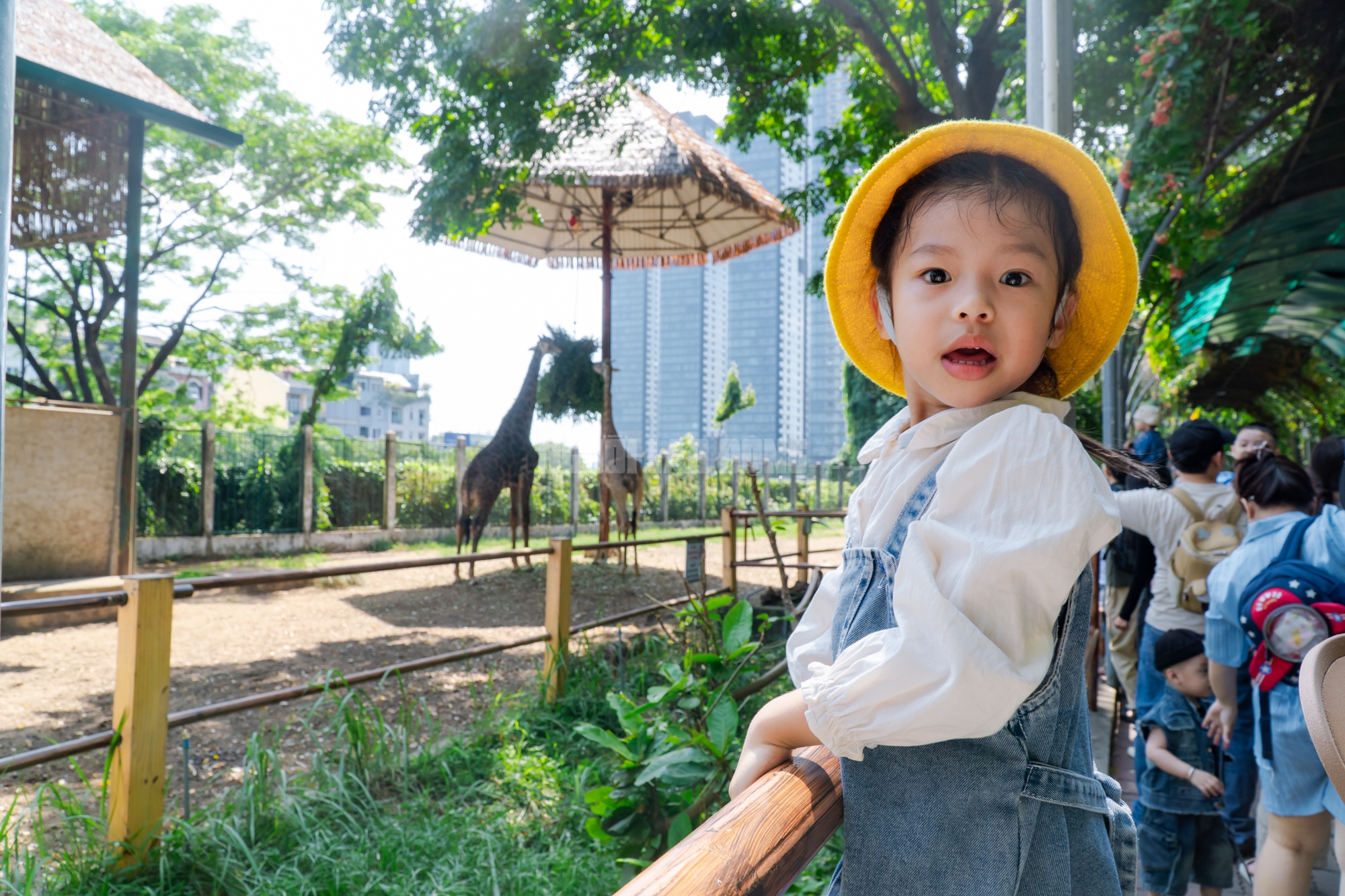 Lộ diện “bé ngựa lùn Cacao” ở Thảo Cẩm Viên Sài Gòn- Ảnh 19. Lộ diện “bé ngựa lùn Cacao” ở Thảo Cẩm Viên Sài Gòn- Ảnh 19.