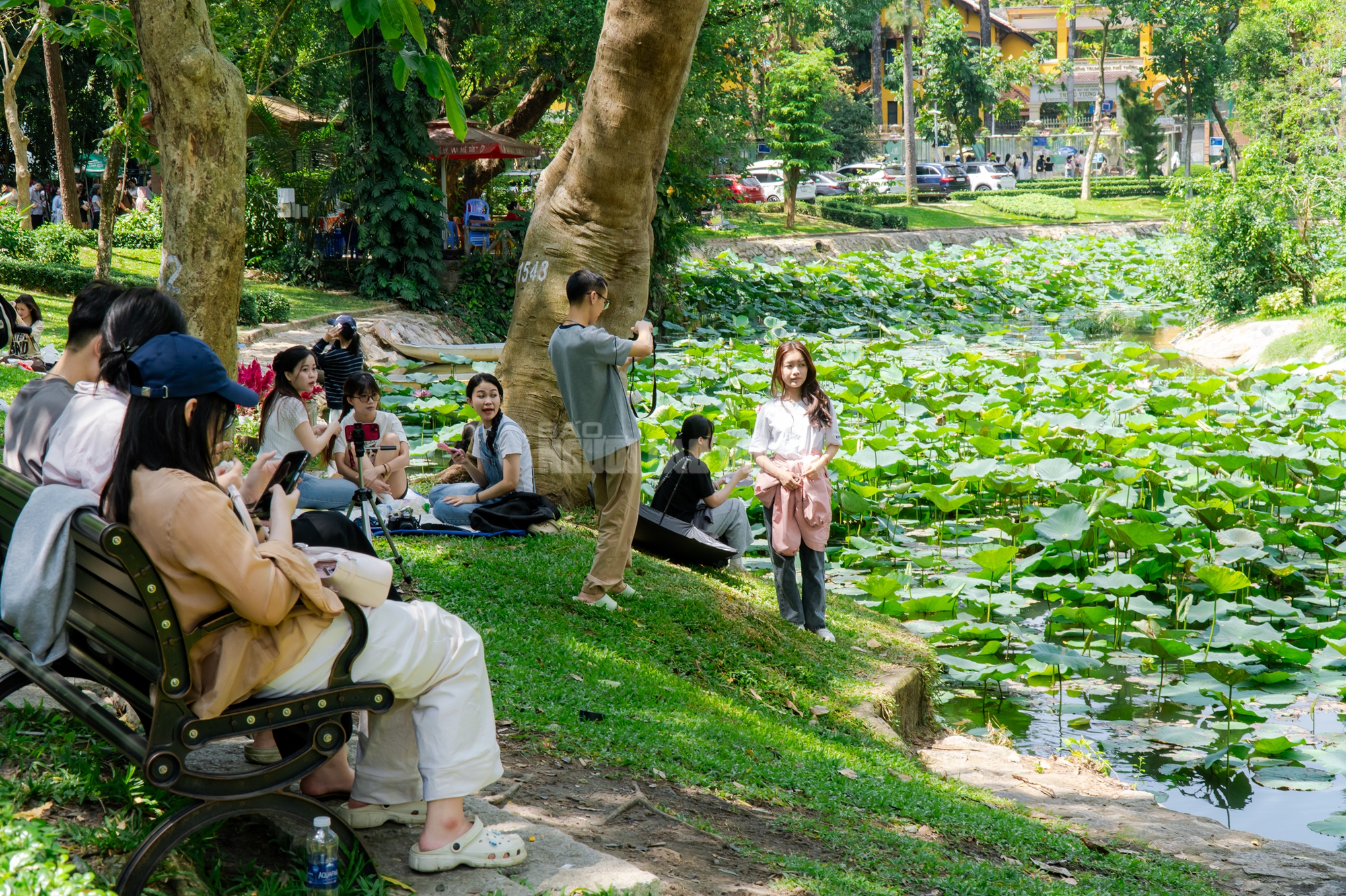 Lộ diện “bé ngựa lùn Cacao” ở Thảo Cẩm Viên Sài Gòn- Ảnh 24. Lộ diện “bé ngựa lùn Cacao” ở Thảo Cẩm Viên Sài Gòn- Ảnh 24.