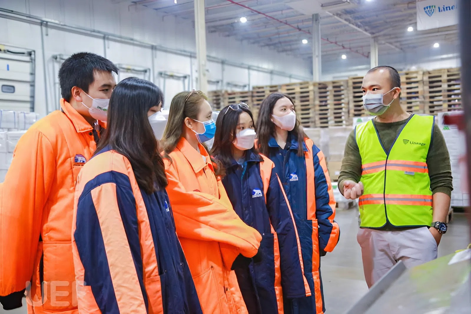 Ngành học là "huyết mạch" của nền kinh tế, AI không thể thay thế, lương có thể chạm mốc 150 triệu/tháng- Ảnh 4. Ngành học là "huyết mạch" của nền kinh tế, AI không thể thay thế, lương có thể chạm mốc 150 triệu/tháng- Ảnh 4.