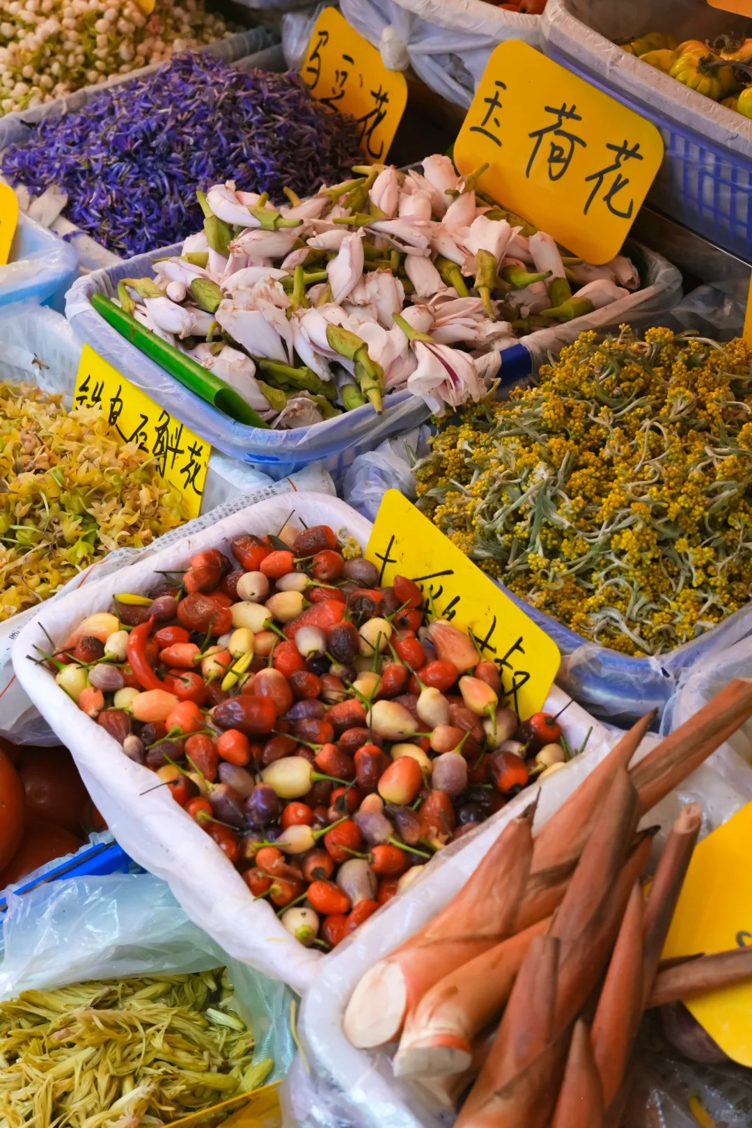 Đi chợ n&ocirc;ng sản đ&acirc;u chỉ mua rau, ấy l&agrave; cuộc "đổi ch&aacute;c" lấy sinh kh&iacute; mộc mạc, đủ sức chữa l&agrave;nh vạn bộn bề- Ảnh 8.