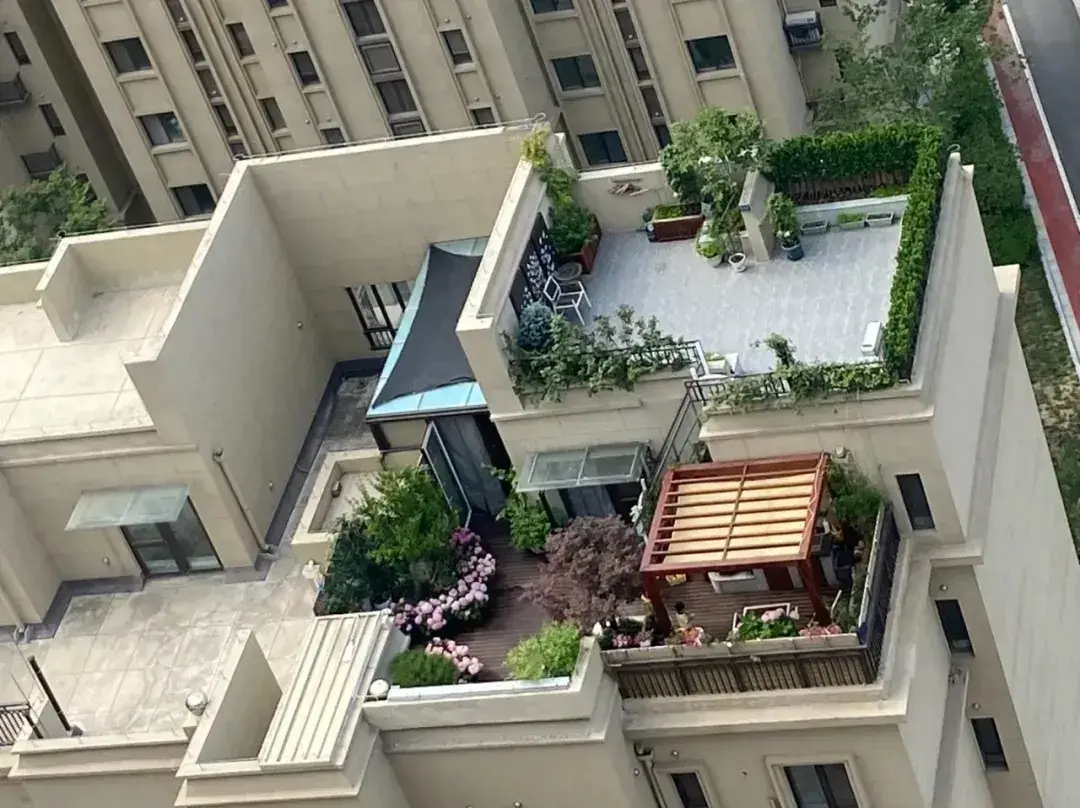 V&igrave; rẻ mua căn nh&agrave; cao nhất của chung cư, kh&ocirc;ng b&oacute;ng h&agrave;ng x&oacute;m: C&ocirc; g&aacute;i lời được 380 triệu sau khi kể ra 3 ưu điểm- Ảnh 2.