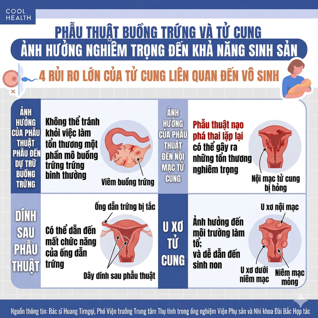 Phẫu thuật buồng trứng, tử cung c&oacute; g&acirc;y v&ocirc; sinh? BS cảnh b&aacute;o: Phụ nữ từng l&agrave;m "2 loại phẫu thuật n&agrave;y" n&ecirc;n sớm bảo tồn khả năng sinh sản- Ảnh 2.