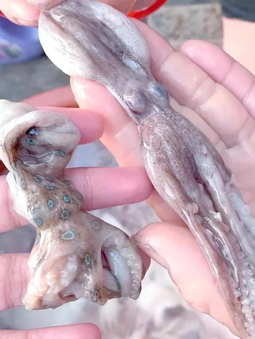 Những "thực phẩm" chứa độc tố chết người kh&ocirc;ng c&oacute; thuốc giải, đun n&oacute;ng tới 120 độ C cũng kh&ocirc;ng c&oacute; t&aacute;c dụng- Ảnh 2.