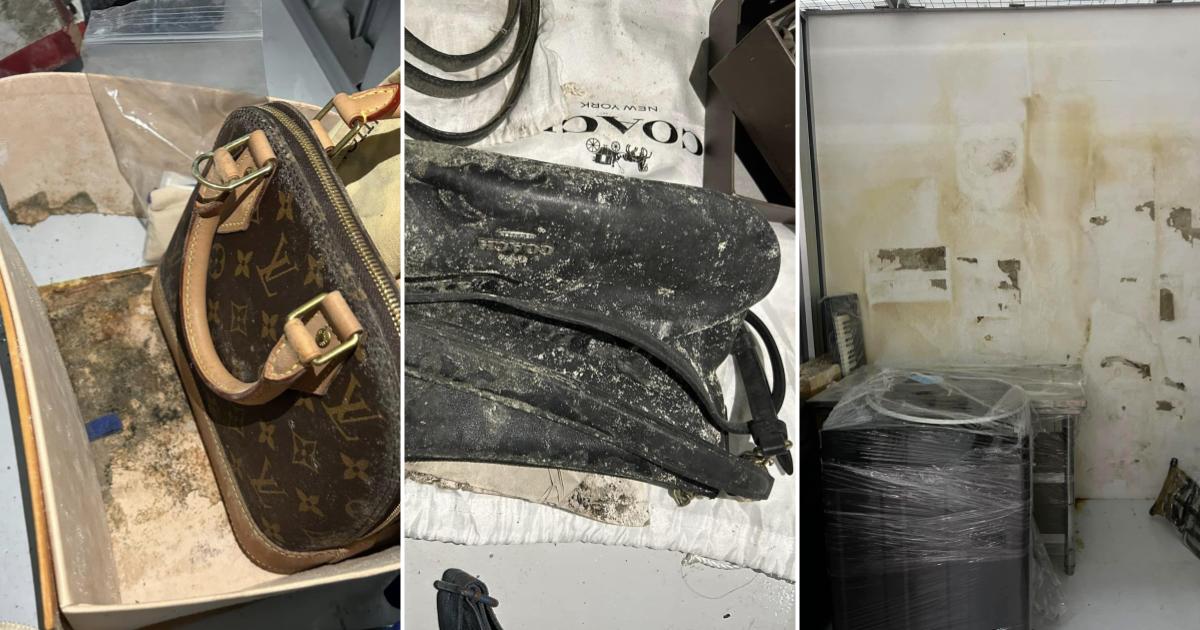 Người chơi Herm&egrave;s sốc v&igrave; sau m&ugrave;a nồm t&uacute;i m&eacute;o m&oacute; kh&ocirc;ng thể cứu, lỗi từ ch&iacute;nh c&aacute;ch bảo quản quen của nhiều người- Ảnh 8.