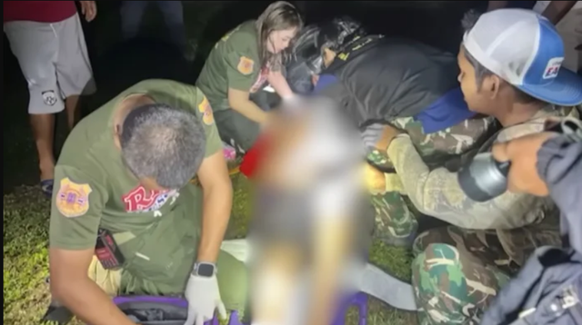 Đi vệ sinh lúc rạng sáng, cụ ông 87 tuổi bất ngờ chạm trán "sinh vật khổng lồ": Cái kết ám ảnh- Ảnh 1. Đi vệ sinh lúc rạng sáng, cụ ông 87 tuổi bất ngờ chạm trán