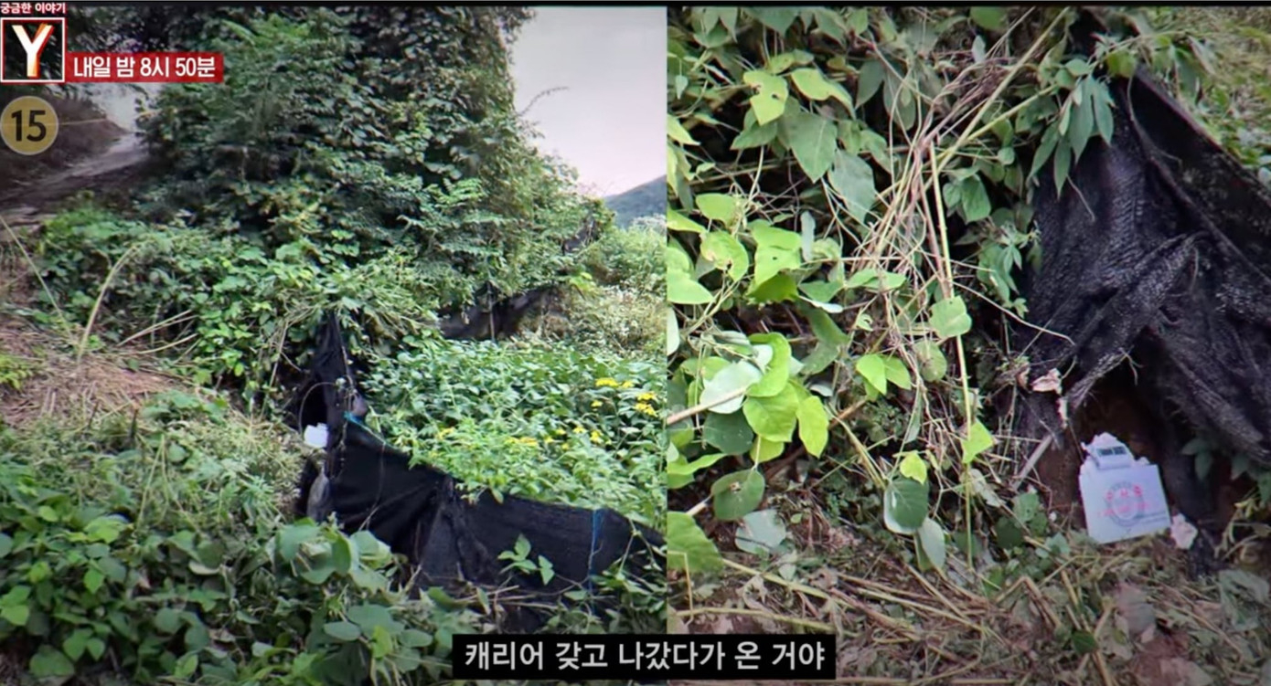 C&ocirc;ng bố video vụ nữ diễn vi&ecirc;n trẻ bị giết hại d&atilde; man, vứt x&aacute;c trong bụi rậm- Ảnh 5.