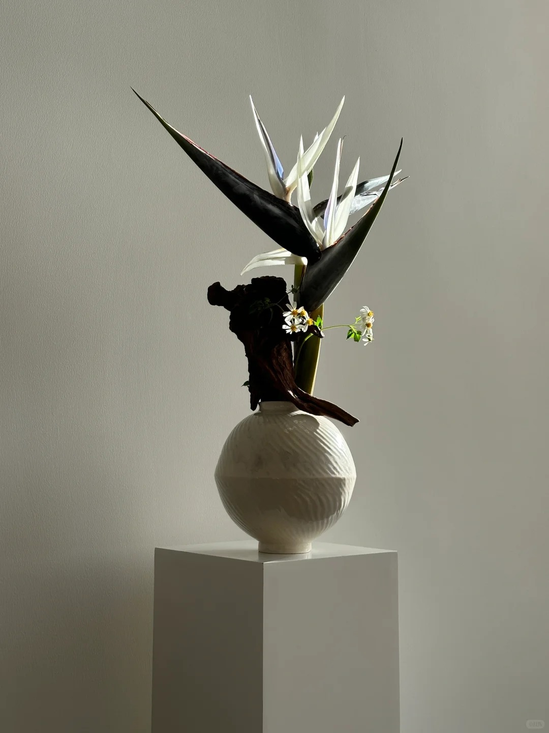 Thấy c&agrave;nh Bạch hạc "chảy nước mắt", tưởng hỏng h&oacute;a ra vớ được b&aacute;u vật decor: Lo&agrave;i hoa qu&yacute; tộc đang l&agrave;m mưa l&agrave;m gi&oacute; hội nghiện Wabi-sabi sang chảnh- Ảnh 22.