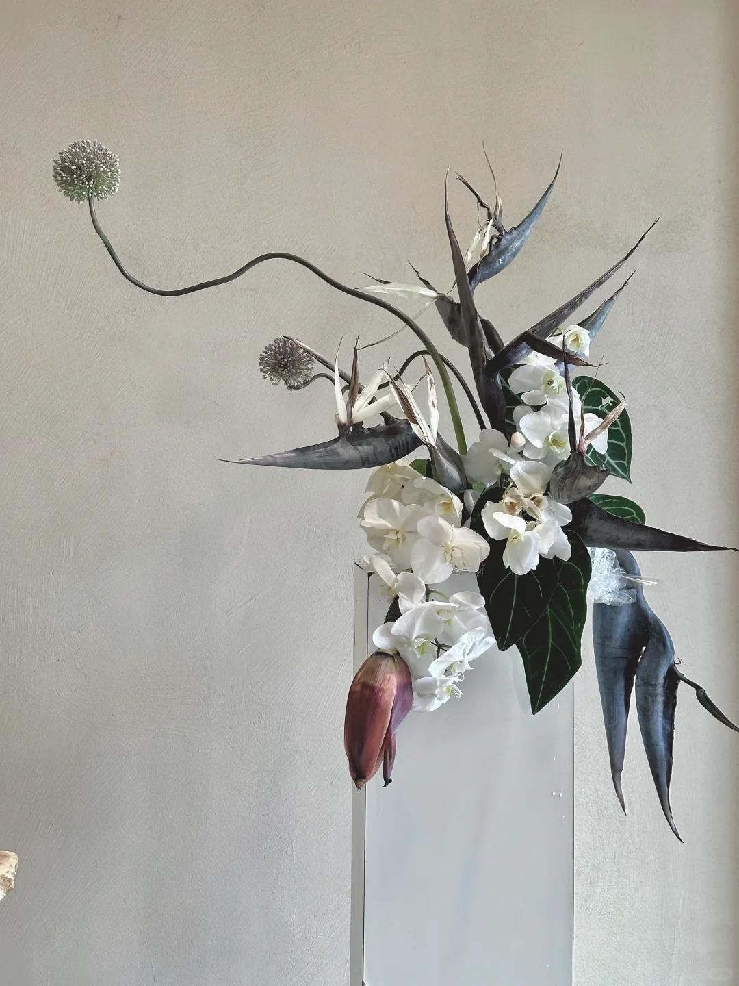 Thấy c&agrave;nh Bạch hạc "chảy nước mắt", tưởng hỏng h&oacute;a ra vớ được b&aacute;u vật decor: Lo&agrave;i hoa qu&yacute; tộc đang l&agrave;m mưa l&agrave;m gi&oacute; hội nghiện Wabi-sabi sang chảnh- Ảnh 20.