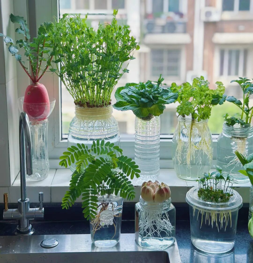 Tưởng l&agrave; keo kiệt, nhưng 10 th&oacute;i quen của người d&igrave; 60 tuổi lại gi&uacute;p b&agrave; kh&ocirc;ng bao giờ &aacute;p lực tiền bạc- Ảnh 7.