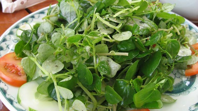 C&acirc;y rau dại mọc hoang nay th&agrave;nh đặc sản, được v&iacute; như "thảo dược qu&yacute;" tốt ngang nh&acirc;n s&acirc;m, c&oacute; thời điểm gi&aacute; đắt hơn thịt- Ảnh 1.