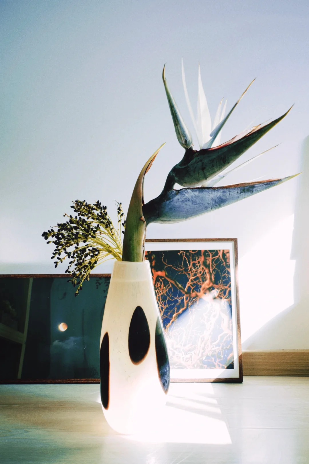 Thấy c&agrave;nh Bạch hạc "chảy nước mắt", tưởng hỏng h&oacute;a ra vớ được b&aacute;u vật decor: Lo&agrave;i hoa qu&yacute; tộc đang l&agrave;m mưa l&agrave;m gi&oacute; hội nghiện Wabi-sabi sang chảnh- Ảnh 15.