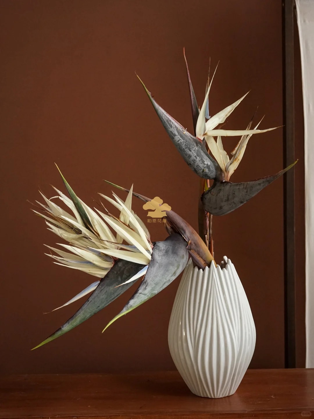 Thấy c&agrave;nh Bạch hạc "chảy nước mắt", tưởng hỏng h&oacute;a ra vớ được b&aacute;u vật decor: Lo&agrave;i hoa qu&yacute; tộc đang l&agrave;m mưa l&agrave;m gi&oacute; hội nghiện Wabi-sabi sang chảnh- Ảnh 28.