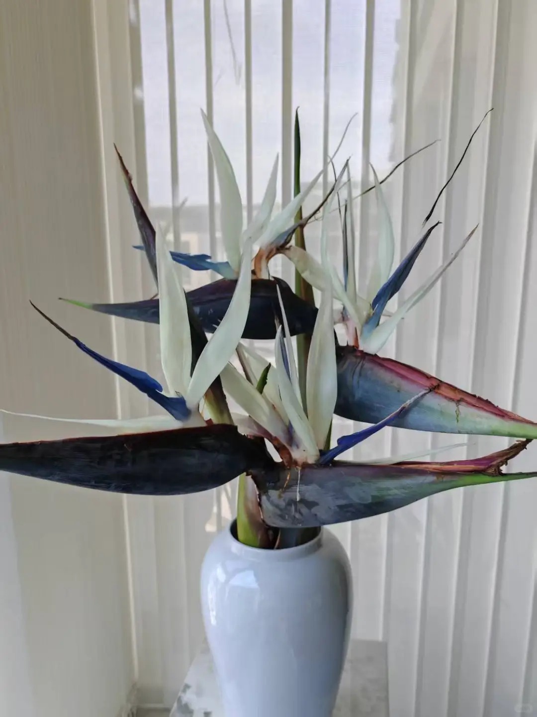 Thấy c&agrave;nh Bạch hạc "chảy nước mắt", tưởng hỏng h&oacute;a ra vớ được b&aacute;u vật decor: Lo&agrave;i hoa qu&yacute; tộc đang l&agrave;m mưa l&agrave;m gi&oacute; hội nghiện Wabi-sabi sang chảnh- Ảnh 29.