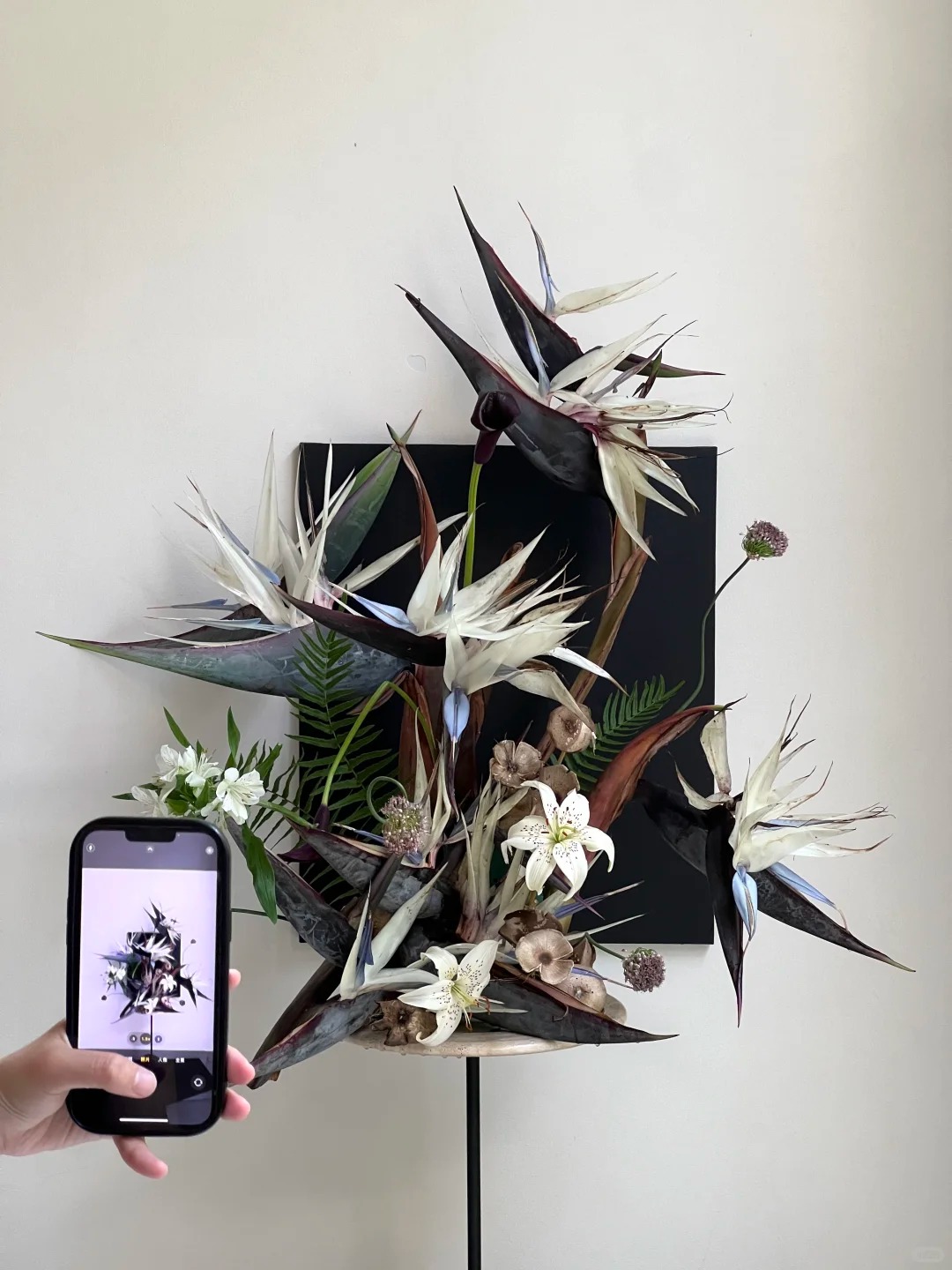 Thấy c&agrave;nh Bạch hạc "chảy nước mắt", tưởng hỏng h&oacute;a ra vớ được b&aacute;u vật decor: Lo&agrave;i hoa qu&yacute; tộc đang l&agrave;m mưa l&agrave;m gi&oacute; hội nghiện Wabi-sabi sang chảnh- Ảnh 11.