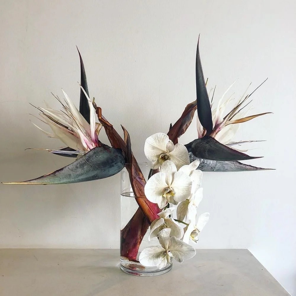 Thấy c&agrave;nh Bạch hạc "chảy nước mắt", tưởng hỏng h&oacute;a ra vớ được b&aacute;u vật decor: Lo&agrave;i hoa qu&yacute; tộc đang l&agrave;m mưa l&agrave;m gi&oacute; hội nghiện Wabi-sabi sang chảnh- Ảnh 19.