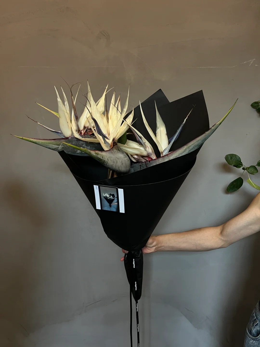 Thấy c&agrave;nh Bạch hạc "chảy nước mắt", tưởng hỏng h&oacute;a ra vớ được b&aacute;u vật decor: Lo&agrave;i hoa qu&yacute; tộc đang l&agrave;m mưa l&agrave;m gi&oacute; hội nghiện Wabi-sabi sang chảnh- Ảnh 13.