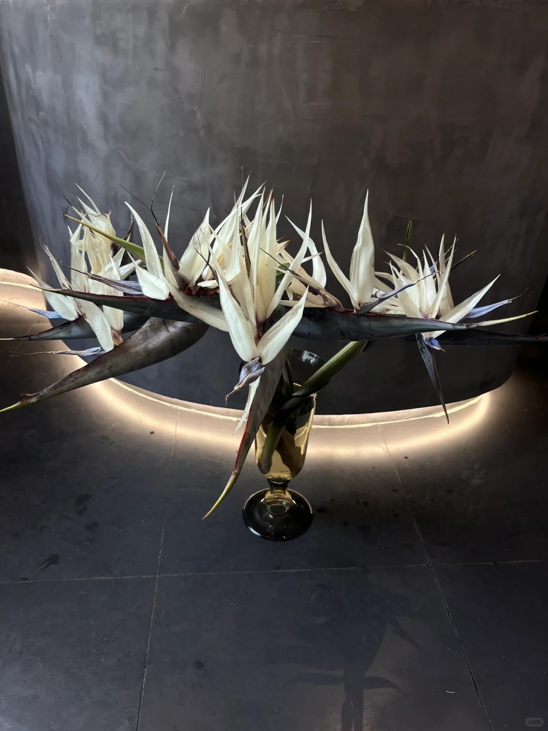 Thấy c&agrave;nh Bạch hạc "chảy nước mắt", tưởng hỏng h&oacute;a ra vớ được b&aacute;u vật decor: Lo&agrave;i hoa qu&yacute; tộc đang l&agrave;m mưa l&agrave;m gi&oacute; hội nghiện Wabi-sabi sang chảnh- Ảnh 10.