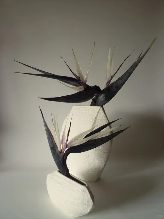 Thấy c&agrave;nh Bạch hạc "chảy nước mắt", tưởng hỏng h&oacute;a ra vớ được b&aacute;u vật decor: Lo&agrave;i hoa qu&yacute; tộc đang l&agrave;m mưa l&agrave;m gi&oacute; hội nghiện Wabi-sabi sang chảnh- Ảnh 18.