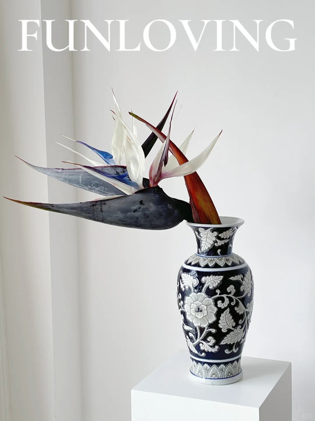 Thấy c&agrave;nh Bạch hạc "chảy nước mắt", tưởng hỏng h&oacute;a ra vớ được b&aacute;u vật decor: Lo&agrave;i hoa qu&yacute; tộc đang l&agrave;m mưa l&agrave;m gi&oacute; hội nghiện Wabi-sabi sang chảnh- Ảnh 23.