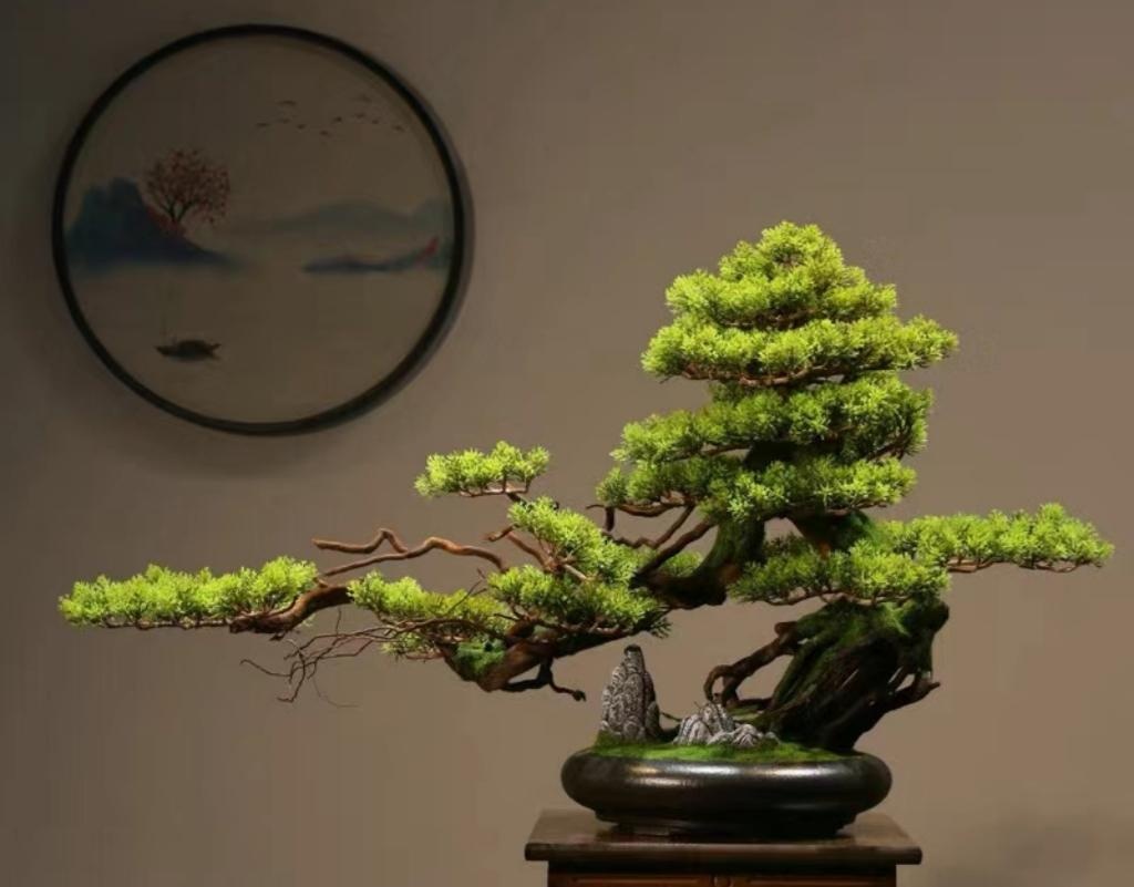 Muốn ph&ograve;ng kh&aacute;ch l&ecirc;n level thượng lưu, t&ocirc;i khuy&ecirc;n bạn ĐỪNG TRỒNG HOA: 8 c&acirc;y xanh n&agrave;y mới l&agrave; "thần" chi&ecirc;u t&agrave;i h&uacute;t lộc, si&ecirc;u kh&iacute; chất- Ảnh 2.