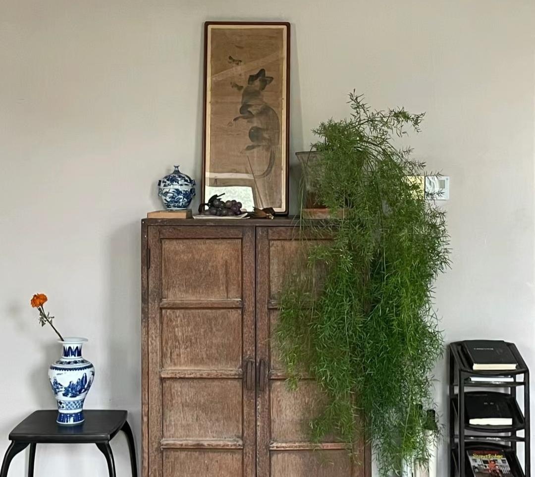 Muốn ph&ograve;ng kh&aacute;ch l&ecirc;n level thượng lưu, t&ocirc;i khuy&ecirc;n bạn ĐỪNG TRỒNG HOA: 8 c&acirc;y xanh n&agrave;y mới l&agrave; "thần" chi&ecirc;u t&agrave;i h&uacute;t lộc, si&ecirc;u kh&iacute; chất- Ảnh 7.