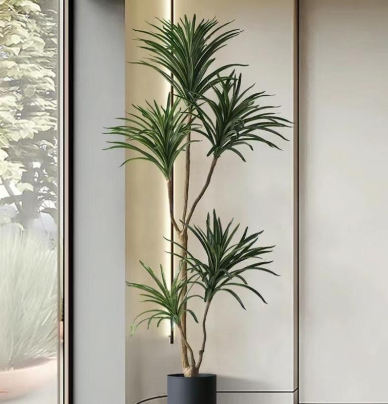 Muốn ph&ograve;ng kh&aacute;ch l&ecirc;n level thượng lưu, t&ocirc;i khuy&ecirc;n bạn ĐỪNG TRỒNG HOA: 8 c&acirc;y xanh n&agrave;y mới l&agrave; "thần" chi&ecirc;u t&agrave;i h&uacute;t lộc, si&ecirc;u kh&iacute; chất- Ảnh 8.