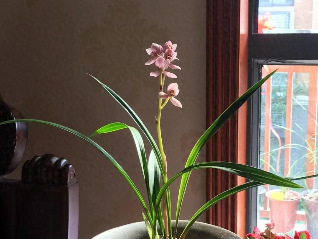 10 lo&agrave;i hoa thơm say mũi: M&ugrave;i hương độc nhất thế giới, đến thợ điều chế nước hoa cũng kh&ocirc;ng thể bắt chước- Ảnh 1.