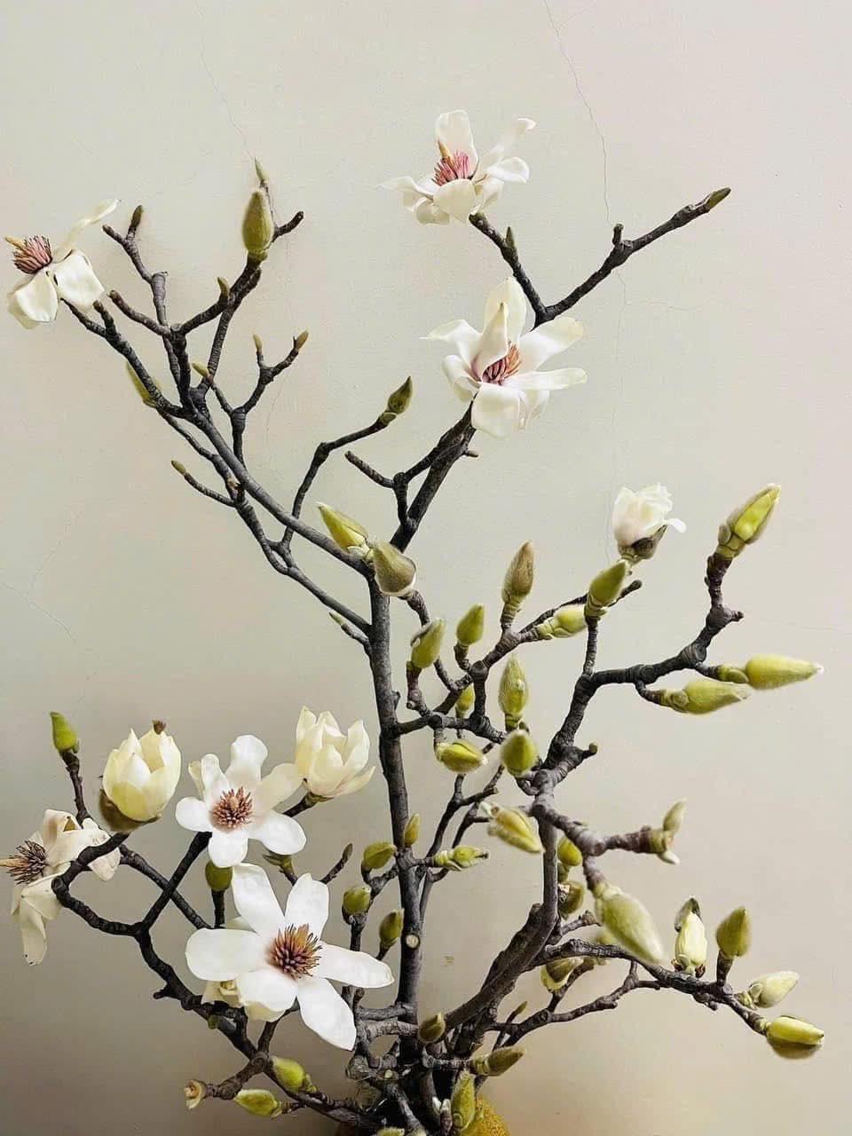 10 lo&agrave;i hoa thơm say mũi: M&ugrave;i hương độc nhất thế giới, đến thợ điều chế nước hoa cũng kh&ocirc;ng thể bắt chước- Ảnh 3.